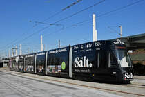 Be 6/8 Flexity 5041 mit der SALT Werbung, auf der Linie 3, wartet an der Endstation beim Bahnhof Saint Louis. Die Aufnahme stammt vom 16.02.2019.