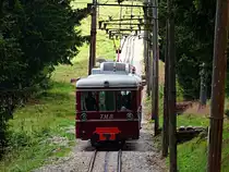 Triebzug 'Jeanne' der Tramway du Montblanc quält sich samt Steuerwagen die Steigung vor dem Haltepunkt Bellevue hinauf. Man beachte die Gleislage und die schiefen Masten.

Ursprünglich war geplant, die Zahnradbahn bis auf den Mont Blanc zu bauen. Dies erwies sich jedoch als zu aufwändig, sodass die Bahn nur bis zur Nid d'Aigle, der mit 2362 höchsten Bahnstation Frankreichs gebaut wurde.

Aufnahme vom 10.08.2016, 14:55