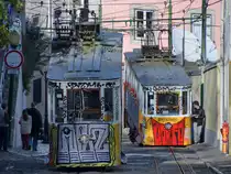 Ascensores de Lisboa, übersetzt Aufzüge von Lissabon sind Standseilbahnen in der portugiesischen Hauptstadt. Ascensor da Glória ist eine der insgesamt drei Standseilbahnen. Die Strecke wurde 1885 eröffnet, hat eine Länge von 265 Metern, eine Höhendifferenz von 48 Metern und die maximale Steigung beträgt 18 Prozent. (Januar 2017)