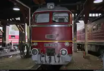 120 274-6 (DR V 200) DB steht anlässlich des Sommerfests unter dem Motto  Diesellokomotiven der ehemaligen DR  im Ringlokschuppen des DB Musems Halle (Saale).
[25.8.2018 | 12:47 Uhr]