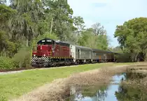 1912 passes Gator Pond whilst hauling an Orlando Northwestern Train from Mount Dora to Tavares, 2 March 2019.

From April they will cease to run on this portion of line...