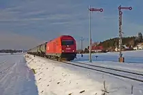 2016.078 ist mit ihrem Güterzug Richtung Salzburg unterwegs, als sie gerade die Ausfahrsignale von Munderfing passiert. (08.02.2019)