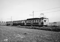 BIPPERLISI.
BAHNIMPRESSIONEN AUS DEM JAHRE 1981.
Langer und seltener Zug auf der SNB mit dem Be 4/4 81, dem B20 sowie dem Bt 101 bei Attiswil am 6. September 1981.
Foto: Walter Ruetsch