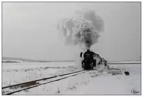 Dampf trifft Hund -52.7612 mit Sdz R 16102 von Wien Heiligenstadt nach Ernstbrunn.
Mollmannsdorf 23.1.2010