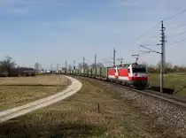 Die 1014 004 und die 1014 003 mit einem KLV-Zug am 17.03.2019 unterwegs bei Rutzing.