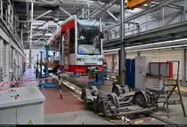 MGT-K-2 (Bombardier Flexity Classic), Wagen 699, der Halleschen Verkehrs-AG (HAVAG) steht anlässlich des Tags der offenen Tore auf einer Hebebühne bzw. über einer der beiden Arbeitsgruben für Reparaturen (Gleis 6) in der Straßenbahnwerkstatt des HAVAG Betriebshofs in der Freiimfelder Straße in Halle (Saale).
[1.9.2018 | 10:36 Uhr]