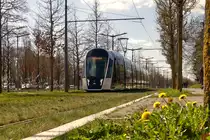 Fr�hling in Luxembourg-Kirchberg - Zwischen den Haltestellen Coque und Universit�it/Universit� bot sich der Fotografin am 29.03.2019 die Gelegenheit einen CAF Urbos von LUXTRAM S.A. zusammen mit einigen Fr�hlingsboten auf den Chip zu bannen. (Jeanny)
