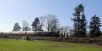 Die Class 66 653-10 von Crossrail kommt die Gemmenicher-Rampe herunter nach Aachen-West mit einem Güterzug aus Antwerpen-Waaslandhaven(B) nach Visp(CH).
Aufgenommen an der Montzenroute am Gemmenicher-Weg.
Bei schönem Frühlingswetter am Nachmittag vom 24.3.2019.
