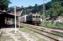 WL22M-1483  Kursebi  15.06.11