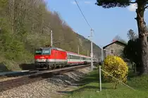 Die ziemlich neue 1144.279 fährt mit EC-159 bei schönster Frühlingsumgebung am 16.4.19 kurz vor Payerbach/R.