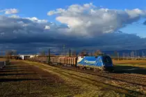 182 912 mit einem Holzzug am 08.03.2019 bei Plattling. 