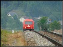 Achtung Zug !!!
Diese Kr�hen leben ganz sch�n gef�hrlich.
Diesellok 2016 055 f�hrt von P�ls nach Zeltweg