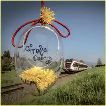 Eine kleine Ostereier Suche ,.... 

Frohe Ostern allen hier ! 
20.04.2019