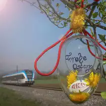 Alles blüht ,.... passend zum Osterfest. 
20.04.2019