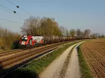 Die 1116 159 mit einem Kesselzug am 15.04.2019 unterwegs bei Langenisarhofen.