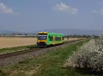 Der 650 654 als WAB nach Plattling am 15.04.2019 unterwegs bei Pankofen.
