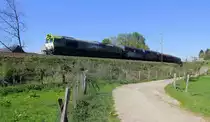 Die Class 66 6603 von Captrain fährt jetzt für Railtraxx kommt mit viel Dieselpower die Gemmenicher-Rampe hochgefahren aus Richtung Aachen-West mit einem schweren Güterzug aus  Linz Voestalpine(A) nach Antwerpen-Waaslandhaven(B) und am Ende fährt Taurus 1116 129 von ÖBB als Schubhilfe bis zum Gemmenicher-Tunnel.
Aufgenommen von einem Weg in Reinartzkehl.
Bei schönem Frühlingswetter am Nachmittag vom 19.4.2019.