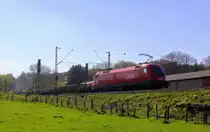 Ein Blick auf den Taurus ÖBB 1116 129 von ÖBB fährt als Schubhilfe sie schiebt einem schweren Güterzug aus Linz Voestalpine(A) nach Antwerpen Waaslandhaven(B) bis zum Gemmenicher-Tunnel. Vorne fährt die Class 66 6603 von Captrain fährt jetzt für Railtraxx. Aufgenommen von einem Weg in Reinartzkehl. 
Bei schönem Frühlingswetter am Nachmittag vom 19.4.2019.