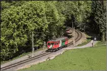 Regionalzug 8605 pfeift aus dem Wald heraus , die hier noch größten Teils  Nicht Technisch   gesicherten EIsenbahnkreuzungen und die damit verbundenen Pfeifstellen machen es einem Fotografen etwas leichter sich auf den ZUg vorzubereiten. 

22.04.2019