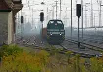 HGB V100.02 wartet am 12.09.2015 im Bahnhof Nordhausen auf die Ausfahrt. Im Hintergrund die Hamster auf ihren ersten Einsatz auf der Südharzstrecke