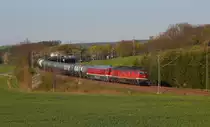 DGS 60931 mit 232 238 und 132 068 in Ruppertsgrün/Pöhl. Aufgenommen am 20.04.19. Der Kesselzug kam aus Bitterfeld und war auf dem Weg nach Neustadt/Donau