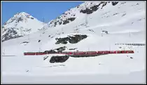 Bernina Express PE951 mit ABe 8/12 3509 aus Chur fährt entlang des Lago Bianco und vorbei am Piz Albris 3165m Richtung Ospizio Bernina 2253m ü/M. (17.04.2019)