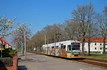 Brandenburg 103, Gördenallee, 07.04.2019.

