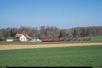 Am 29. März 2019 brachten die Re 4/4 II 11306 und 11263 einen Panzertransport von Biel RB nach Bure. Auf der ausschliesslich Militärtransporten dienenden Strecke zwischen Courtemaîche und Bure verkehrte der Zug aufgrund der grossen Steigung von bis zu 45 ‰ in drei Teilen.<br>
Der zweite Zugteil hat den Bahnhof Bure schon fast erreicht.