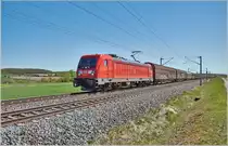 187 150-8 / Altmannshausen / 24.04.2019