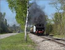 CFTR, die charmante Museumsbahn im Neubreisacher Urwald. Vorbeifahrt 030 TB 134  Theodor  in der Botanik entlang des Rheinseitenkanals. April 2019.