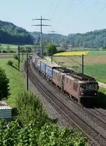 Stimmungsbild mit einer BLS Doppeltraktion Re 425, entstanden am 23. Mai 2019 bei Bollodingen.
Foto: Walter Ruetsch