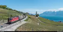 SBB Re 4/4 II 11263 mit Güterzug am 15. Mai 2019 zwischen Grandvaux und Bossière.