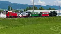 Nachdem die elektrische/dieselektrische Lok  URS  den Personenzug von Wiesenrain bis zum Streckenunterbruch in Kriessern gezogen hatte, wird Dampflok  LIESL  diesen Zug zurück nach Wiesenrain ziehen. Am 30.05.2019 wartet der Zug auf die Fahrgäste, die auf Grund der teilweise demontierten Dienstbahnbrücke über den Rhein zwischen Kriessern und Mäder zu Fuß vom österreichischen Mäder über die Straßenbrücke ins schweizerische Kriessern laufen müssen. Grund für die Teildemontage der Dienstbahnbrücke der Internationalen Rheinregulierung (IRR) im Jahr 2012 war das erhöhte Risiko im Hochwasserfall (Ansammlung von Schwemmholz, erhöhter Wasserdruck auf die Brücke, möglicher Einsturz, Aufstau des Wasserspiegels und dadurch Überströmung der Außendämme oberhalb der Brücke).