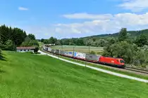 1116 253 mit einem KLV am 01.06.2019 bei Vilshofen. 