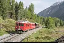 GV Club 1889 in Le Prese am 15. Juni 2019. Zu diesem Anlass wurden ab Pontresina zwei historische Extrazüge geführt. Der erste Zug bestand aus dem ABe 4/4 II 46 mit einem GmP und wurde als Fotozug mit Fotohalten auf der Strecke geführt.<br>
Der Zug zwischen Surovas und Morteratsch.