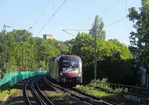 182 528-0 von MRCE/Crossrail kommt aus Richtung Aachen-West auf dem falschen Gleis mit einem GTS-Containerzug aus Zeebrugge-Ramskapelle(B) nach Piacenza(I) und fährt durch Aachen-Schanz in Richtung Aachen-Hbf,Aachen-Rothe-Erde,Stolberg-Hbf(Rheinland)Eschweiler-Hbf,Langerwehe,Düren,Merzenich,Buir,Horrem,Kerpen-Köln-Ehrenfeld,Köln-West,Köln-Süd. Aufgenommen vom Bahnsteig von Aachen-Schanz.
Bei Sommerwetter am Morgen vom 13.6.2019.