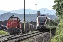Reger Betrieb im Holzverarbeitenden Betrieb  Hasslacher  in Preding. 
In den letzten Tagen erreichten unzählige Festmeter Holz das Unternehmen. Vorbildlich per Bahn. 19.06.2019

