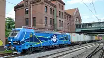 EGP - Eisenbahngesellschaft Potsdam mbH mit der wunderschön gestalteten  192 101  [NVR-Nummer: 91 80 6192 101-4 D-EGP] verlässt den Hamburger Hafen mit einem Containerzug am 18.06.19 Bahnhoh Hamburg Harburg.
