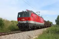 Rund um den Zentralverschiebebahnhof Wien Kledering verlaufen viele einzelne Gleise durch die üppige Vegetation (oder auf gut österreichisch  Gstettn ). Diese dienen dazu, Züge in verschiedene Richtungen zu führen ohne zu stürzen oder ohne wichtige Hauptgleise kreuzen zu müssen.
Hier steht am 18.6.2019 der G55613 von Wien Zvb nach Zeltweg bei der Überwerfung kurz vor Lanzendorf-Rannersdorf. 
Mit dieser Überwerfung zum Beispiel kommen Güterzüge von der Reihungsgruppe auf der linken Seite der Hauptgleise kreuzungsfrei auf das rechte Gleis (Regelgleis in Fahrtrichtung Gramatneusiedl/Hegyshalom).