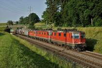 Gotthard Feeling auf der Jurasüdfuss-Linie.
Güterzug 60034 RBL-GEPR vom 25. Juni 2019 zwischen Niederbipp und Wangen an der Aare unterwegs mit Re 420 163 + Re 620 053  Gümligen  + Re 420 257 im herrlichen Abendlicht bei starker Hitze. Erstmals habe ich diese mächtige Traktion vor diesem alltäglichen immer sehr langen Güterzug erlebt.
Foto: Walter Ruetsch