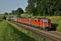 Gotthard Feeling auf der Jurasüdfuss-Linie.
Güterzug 60034 RBL-GEPR vom 25. Juni 2019 zwischen Niederbipp und Wangen an der Aare unterwegs mit Re 420 163 + Re 620 053  Gümligen  + Re 420 257 im herrlichen Abendlicht bei starker Hitze. Erstmals habe ich diese mächtige Traktion vor diesem alltäglichen immer sehr langen Güterzug erlebt.
Foto: Walter Ruetsch