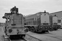 Die Diesellokomotiven 276, 2215 & 2454 waren Ende Mai 2019 in Blerick zu sehen.