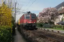 SEELINIE IM SEELAND.
Impressionen der einspurigen Strecke bei Ligerz vom 31. März 2017.
Postzug in Richtung Härkingen mit der Re 420 277-6.
Foto: Walter Ruetsch