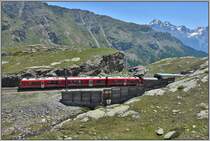R1644 mit ABe 8/12 3513 am oberen Ausgang der Sassal Mason Galerie zwischen Alp Grüm und Ospizio Bernina. (25.06.2019)