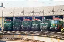 30.05.1993, „Dampflokfest in Selzthal“, Natürlich war auch die in Österreich stark vertretene E-Traktion mit von der Partie. Von links nach rechts: 1670.25, 1245.05,1045.09, 1080.01 1020.042, und 1018.05. 