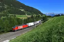 1293 044 mit einer RoLa am 29.06.2019 bei Mühlbachl. 