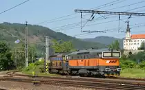 Zusammen mit 753 732 stand 753 729 am 12.06.19 in Decin abgestellt.