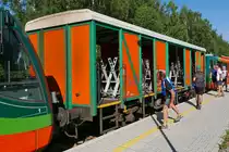  Wo ist denn nun mein Fahrrad?  könnte sich der suchende Fahrgast fragen. Ein Fahrradwagen der GW TRAIN, eingereiht zwischen zwei Triebwagen der Baureihe 654 auf der Fahrt von České Budějovice nach Nové Údolí in der Haltestelle Horní Planá zastávka (28.06.2019).