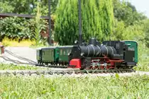 399.03 war unter zahlreichen anderen Fahrzeugen auch zu bewundern. 
Hier mit einem Zug an diesem strahlenden 6.Juli 2019