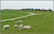 ARZ1426 von Niebüll nach Westerland/Sylt mit 218 343-2 und 218 488-5 am Beginn des Hindenburgdamms. (21.05.2019)